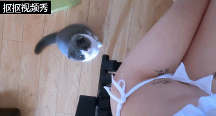 232c3ac9920343d99f53008ffeef0f6f_1480006380_0992.gif