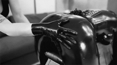 3de65e2ffce9d07ebac1a3b2225f56da_1481195720_5355.gif