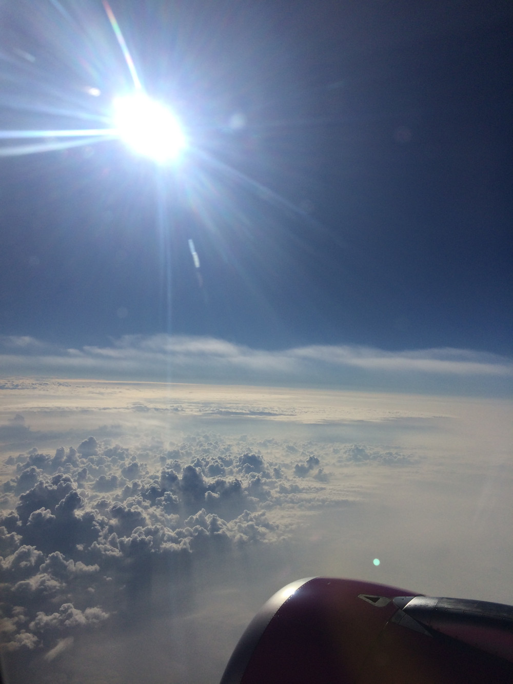 4b04772d047e4dfdcaedd118709bc20b_1473521071_7521.jpg