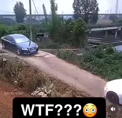 2948671877_1780655017.0247.webp