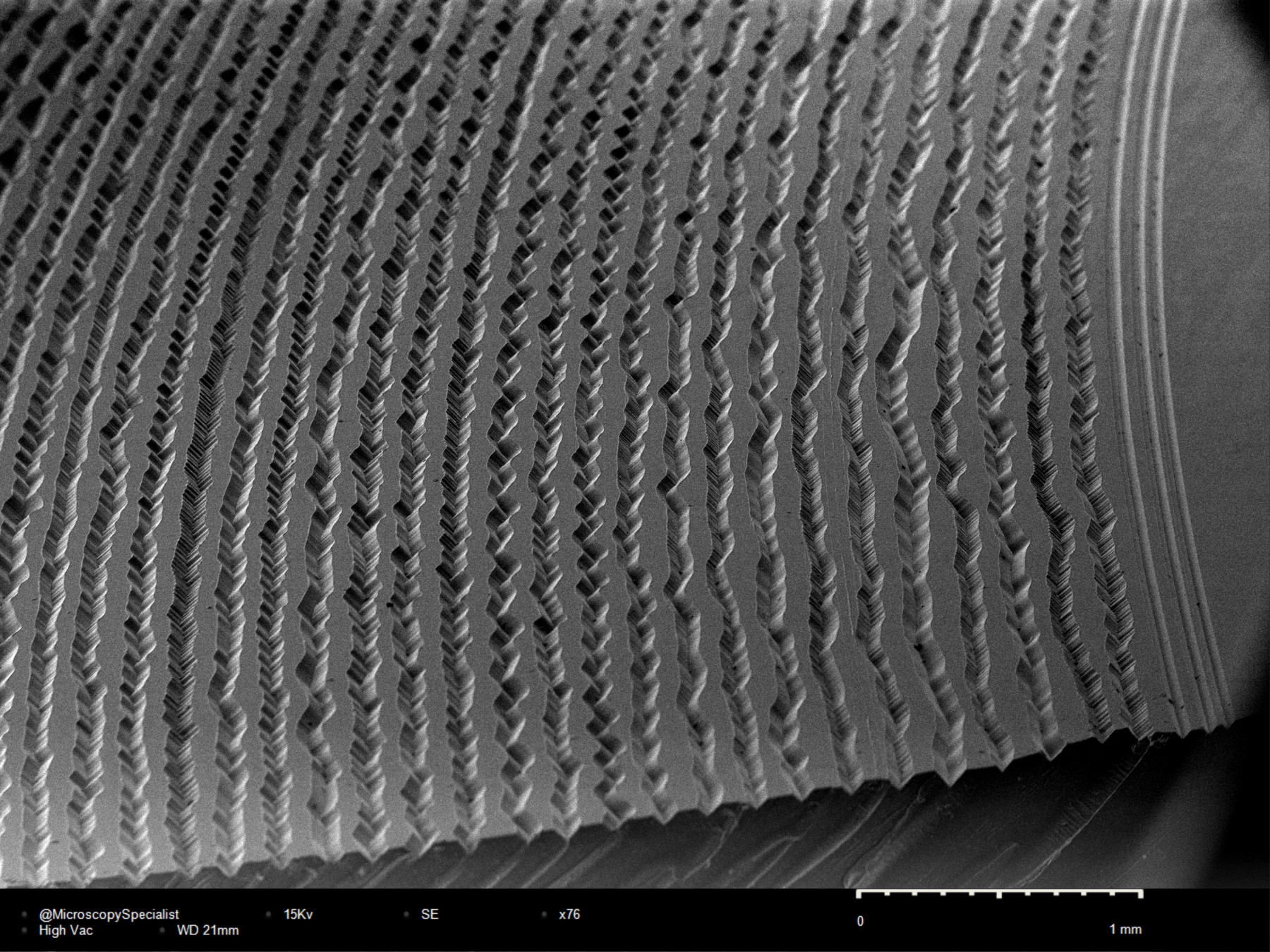 31297500_1781847445.8559.jpg